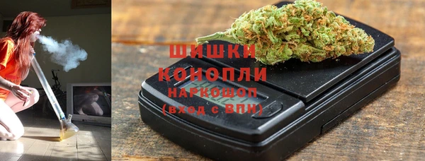 спиды Богородск