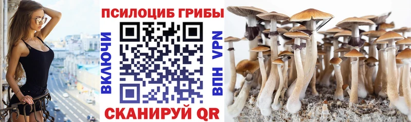 цены   Судак  Галлюциногенные грибы GOLDEN TEACHER 
