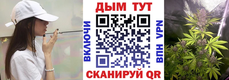 купить наркотики сайты  blacksprut вход  Конопля план  Судак 